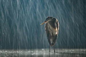 The Mental Health Struggles We Do Not Always See